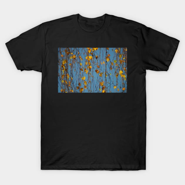 Autumn leafs and sky T-Shirt by Simon-dell